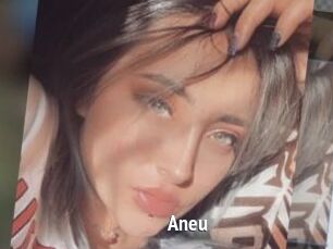 Aneu