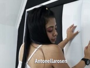 Antonellarosen