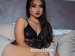 AntoniaScote