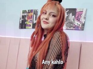 Any_kahlo