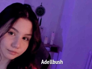 Adellbush