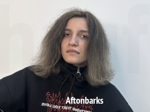 Aftonbarks