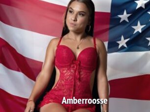 Amberroosse