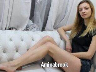 Aminabrook