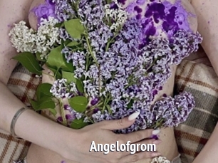 Angelofgrom