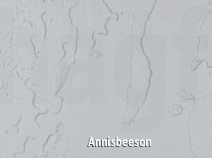 Annisbeeson