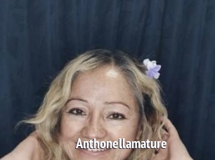 Anthonellamature