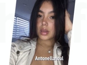 Antonellasoul