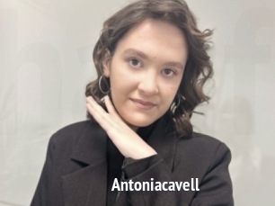 Antoniacavell