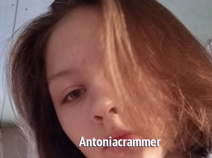 Antoniacrammer