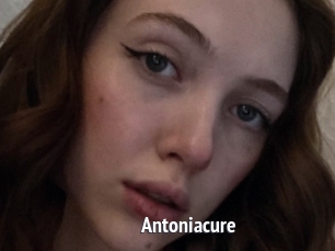 Antoniacure