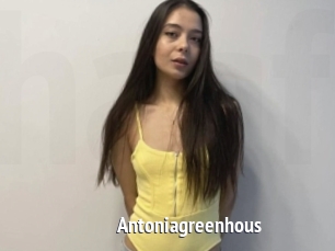 Antoniagreenhous