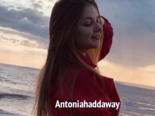 Antoniahaddaway
