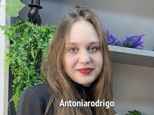Antoniarodrigo
