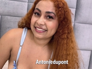 Antoniedupont