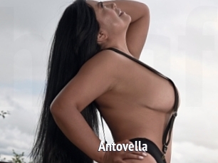 Antovella