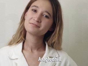 Aragledhill