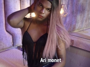 Ari_monet