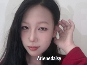 Arlenedaisy