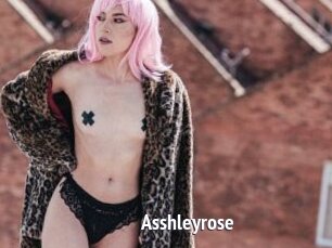 Asshleyrose
