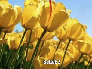 BelleB3