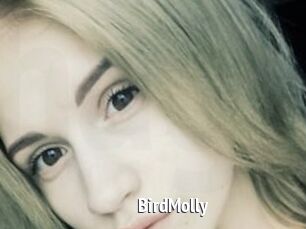 BirdMolly