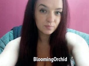 BloomingOrchid