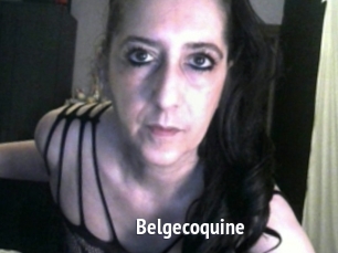 Belgecoquine