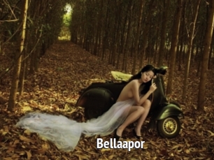 Bellaapor