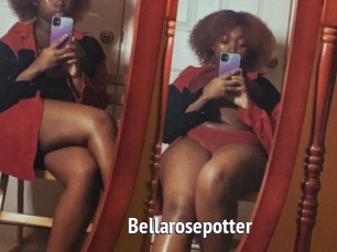 Bellarosepotter