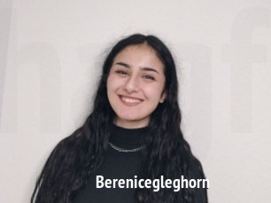 Berenicegleghorn