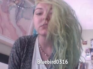 Bluebird0316