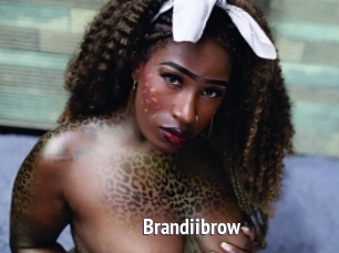 Brandiibrow
