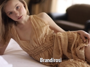 Brandirosi