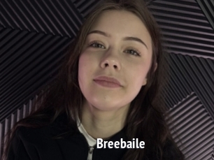 Breebaile