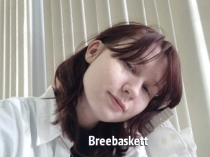Breebaskett