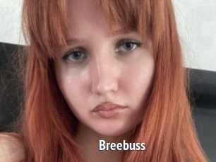 Breebuss