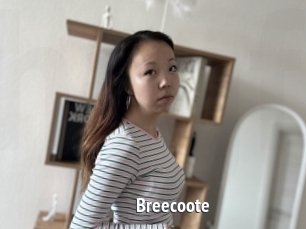Breecoote