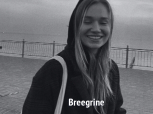 Breegrine