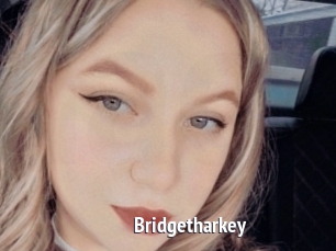 Bridgetharkey