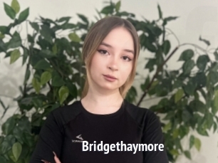 Bridgethaymore