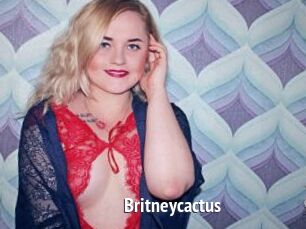 Britneycactus