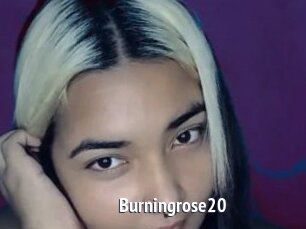 Burningrose20