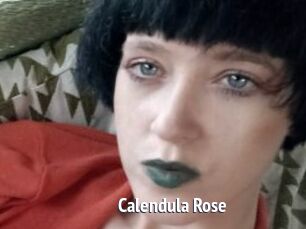 Calendula_Rose