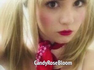CandyRoseBloom