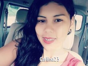 Carlina23