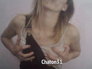 Chaton31