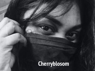 Cherryblosom