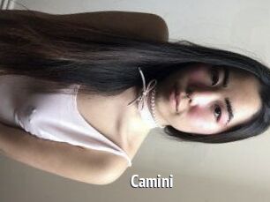 Camini