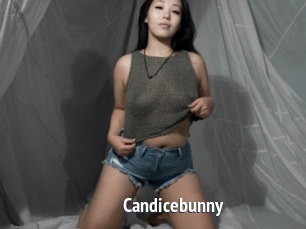 Candicebunny